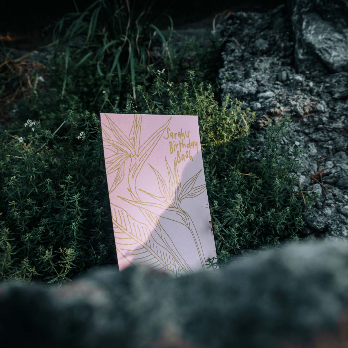 AGK_karte-rosa_umgebung